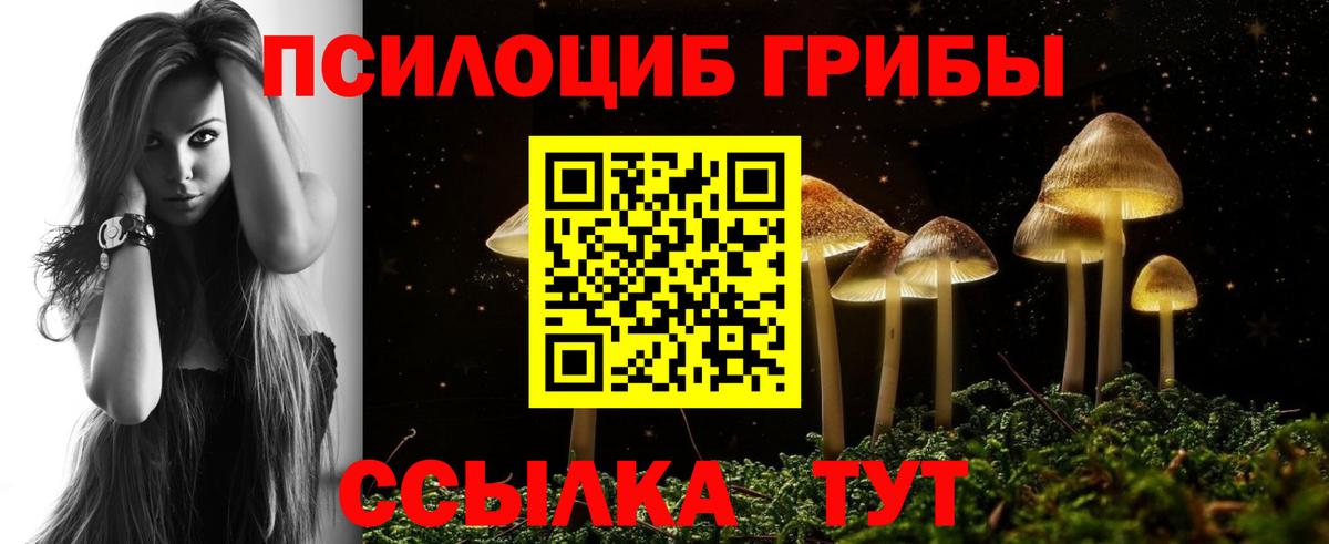 Галлюциногенные грибы Cubensis Шелехов