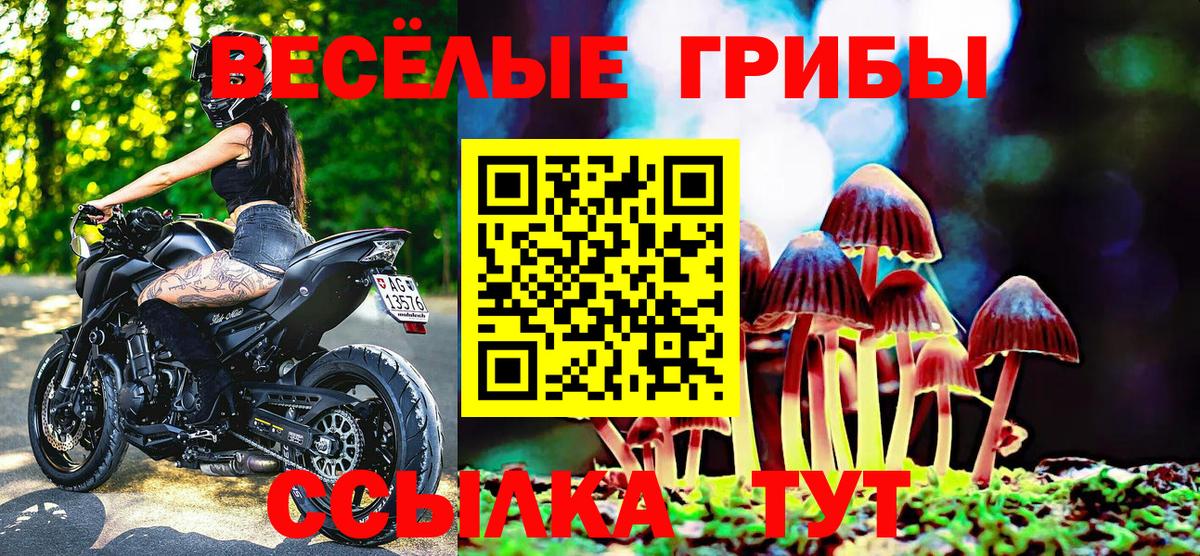 Шелехов  Псилоцибиновые грибы мицелий  Вход с VPN 
